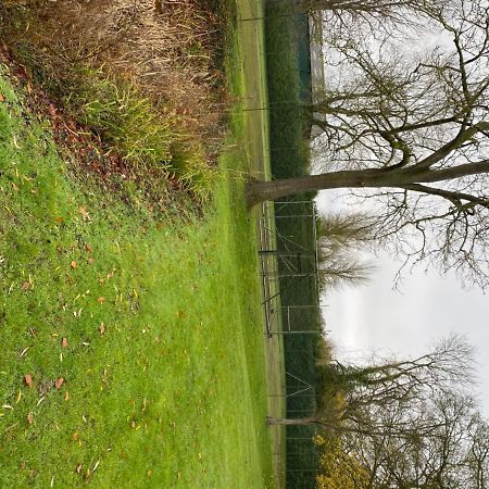 グレート・ハーリングベリー Retreats At Stansted Manorヴィラ エクステリア 写真